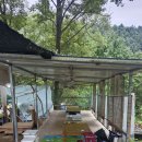 민우네집 Daum카페