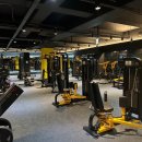 타이거휘트니스 이미지