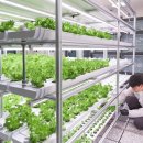 현대건설(주) 이미지