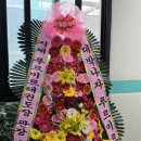 안중 푸르미르 태권도장 이미지