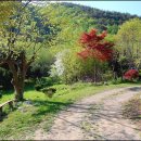 부원민박 이미지