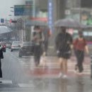 하늘세탁 이미지