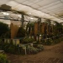 지례초등학교 이미지