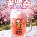 백스비어 강원인제점