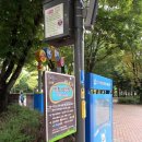 당현천(변) 자전거대여소(11월~2월) | 노원 로보카폴리교통공원 아이 자전거 무료대여 후기ㅡ아이와 갈만한곳 + 당현천