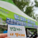굿뜨레 | 2026 제24회 부여서동연꽃축제 혼자 다녀온 솔직 후기