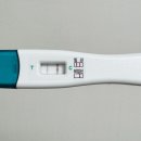 역전한의원 | 난임일기 3. 임테기 두줄! 역전 기다리기, 임신 증상은?