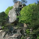 성지태권도 이미지