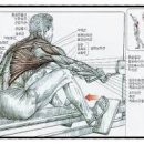 Zerone Gym 이미지