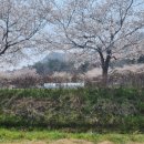 우리동네5분만두 고창점 이미지