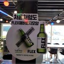 여울애견 이미지