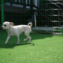 수와래펜션 이미지