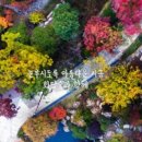 화담푸드시스템 이미지