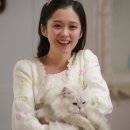 하늘과바다 이미지