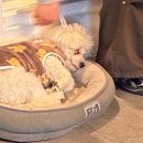 거산주류 | (일상) 바쁘다 바빠 11월