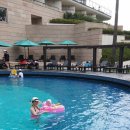 켄싱턴 수영장 이미지