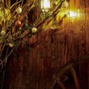 신사-104 이미지