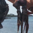 신영S펜션 이미지