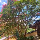 김면장군유적지 이미지