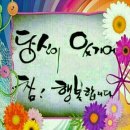 언제나 내곁에 Daum카페