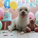 탄리로96번길 이미지