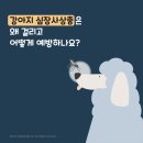 송악 동물병원 이미지