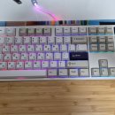[GK798PRO] 한성 GK798PRO 에그스톤 도각 45g 기계식 키보드 구매 후기