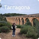 황제레스 | 스페인 타라고나 악마의 다리 (레스 페레레스 수도교) 주차장 및 후기