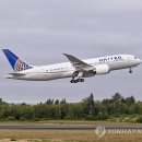 787 이미지