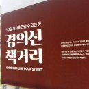 숲길 걷기 동아리 활동 이미지