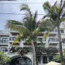 (주)부띠크 호텔 락희 | 베트남 다낭_살말리아 부티크 호텔 조식, 수영장 후기