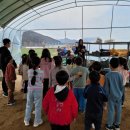 효인태권도장 이미지