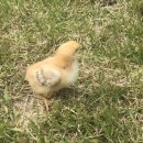 현준농장 이미지