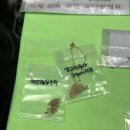 도금 | 쁘띠도금 14k 주얼리 도금 후기 + 줄 끊어짐 수리, 영고리 추가/ 색상 비교 (내돈내산)