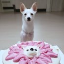 견생공방 이미지