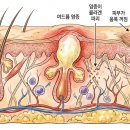 칠곡피부과의원 이미지