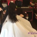 신데렐라헤어 이미지