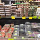 파인필드 이미지