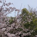 용답도서관 이미지