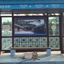 옥산상회