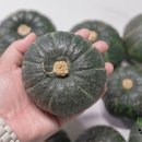 금메달 농장 이미지