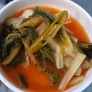 자갈마당산꼼장어