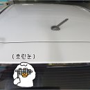 손오공손세차 이미지