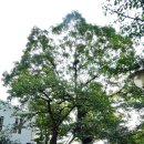 정독도서관 이미지