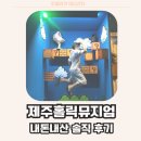 빼빼홀릭 | 제주홀릭 뮤지엄 / 내돈내산 솔직 후기