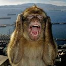 미화빌딩 | 12월 홍콩 여행 후기: 홍콩 겨울 옷차림과 일정 쉽게 짜기