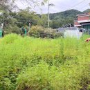 황둔중학교 | 원주 Ι 시골언니 프로젝트 (지역살이 체험 교육) Ι 농사짓지 않아도 괜찮아! 2기 참여후기 Day 4