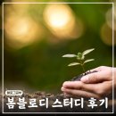 블로그 스터디 봄봄피아 봄블로디 9기 솔직후기