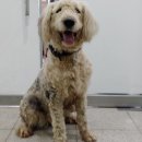 행신초등학교 이미지