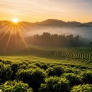 준수농장 | 인도네시아 커피농장 체험 투어: 맛보기와 구매 꿀팁 대방출